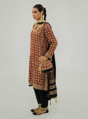 Sassi - Maryam Taseer