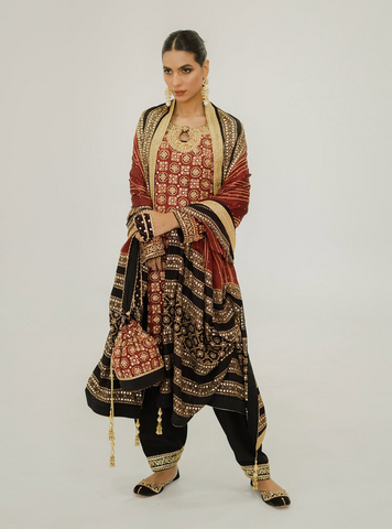 Sassi - Maryam Taseer